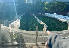 Bán đất trung tâm xã Trung Hậu Đông diện tích 40.9m2 pháp lý rõ ràng... Bán đất tại Mê Linh, Hà Nội 03