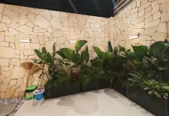 Nhà Phố View Sông Siêu Đẹp cùng Thang Máy Tiện Nghi... Bán nhà mặt phố tại Nhà Bè, Hồ Chí Minh 11