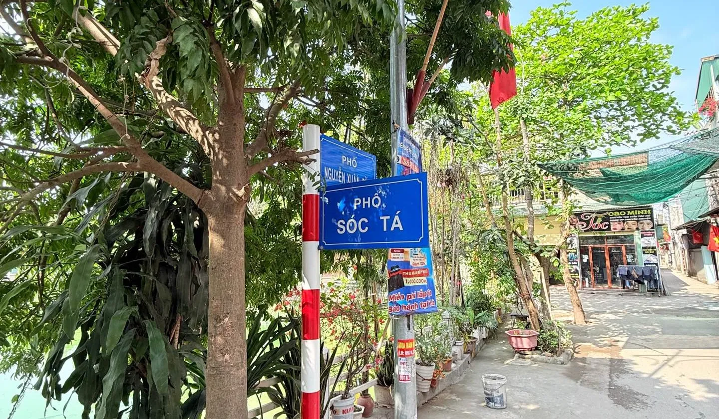 💥Cơ Hội Sở Hữu Đất Vị Trí Đẹp Tại Sóc Tá - Từ Sơn, Giá Tốt Hiếm Có... Bán đất tại Từ Sơn, Bắc Ninh 01