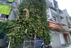 Cơ hội sở hữu nhà 5 tầng lô góc view hồ tại trung tâm Ngọc Lâm... Bán nhà riêng tại Bồ Đề, Hà Nội 02