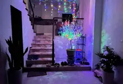Bán nhà phân lô liền kề 5 tầng 48m² kinh doanh sầm uất tại khu vực phát triển Hà Đông... Bán biệt thự, liền kề tại Hà Đông, Hà Nội 08
