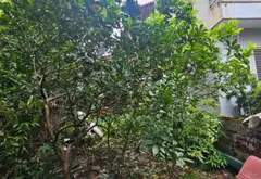 Bán đất sổ đỏ, giá mềm tại Ngọc Trục, sử dụng diện tích rộng 40m²... Bán đất tại Đại Mỗ, Hà Nội 04