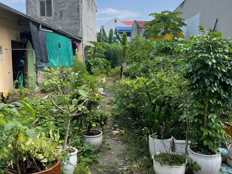 Lô đất vàng Bến Đo trung tâm Cẩm Phả, mặt tiền rộng, giá cạnh tranh... Bán đất tại Cẩm Phả, Quảng Ninh 01