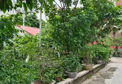 Lô đất vuông vắn rộng 200m² tại phường Lưu Kiếm, TP Hải Phòng... Bán đất tại Lưu Kiếm, Hải Phòng 05