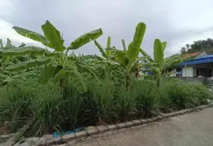 Bán đất thôn 2 Kỳ Sơn, ngõ ô tô, diện tích 61m², tiềm năng tăng giá... Bán đất tại Lê Ích Mộc, Hải Phòng 04