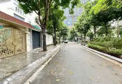 BIỆT THỰ SONG LẬP VIEW CÔNG VIÊN KHU VIP TÂY LINH ĐÀM NỘI THẤT ĐẮT ĐỎ MẶT TIỀN QUYỀN LỰC... Bán biệt thự, liền kề tại Hoàng Liệt, Hà Nội 01