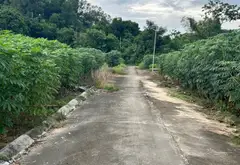 Bán đát thất gian khuyên mại vườn sắn... Bán đất tại Quế Võ, Bắc Ninh 11