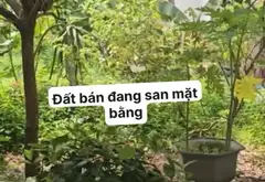 Cơ Hội Vàng Đầu Tư Đất Tại Khu Vực Hót... Bán đất tại Sóc Sơn, Hà Nội 02
