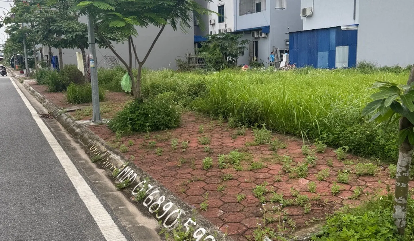 Đất kinh doanh và an cư đắc địa tại TĐC Hoa Động với tiềm năng tăng giá vượt trội... Bán đất tại Thủy Nguyên, Hải Phòng 01