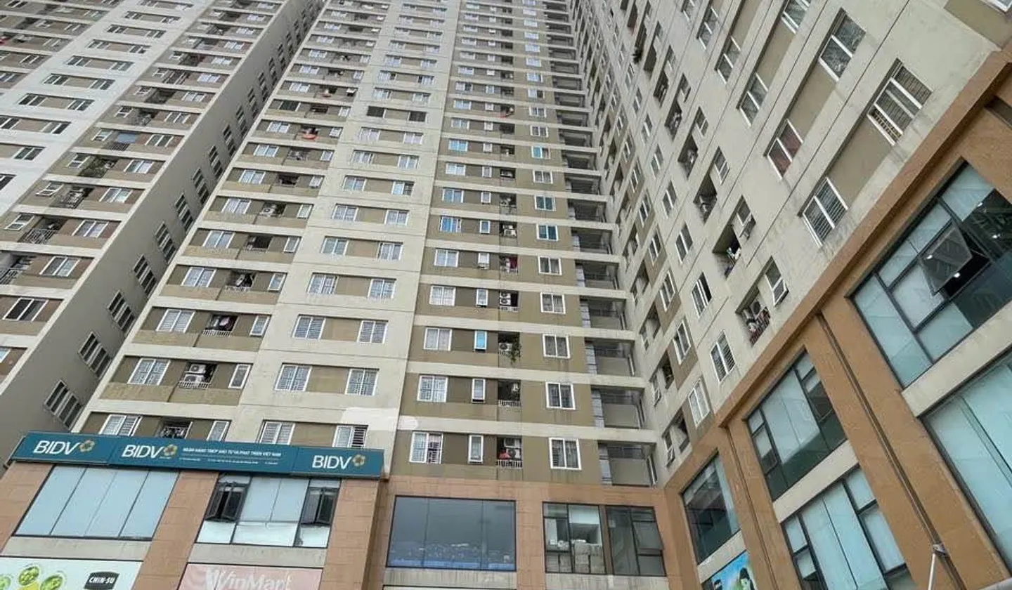 Bán căn hộ chung cư 79.3m² tại Tân Tây Đô, thiết kế 3 phòng ngủ, sẵn sàng ở ngay... Bán căn hộ chung cư tại Hoài Đức, Hà Nội 01