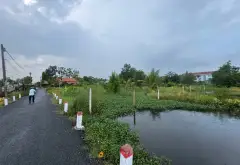Bán đất mặt tiền Xóm Dầu Bình Chánh diện tích 1500m2... Bán đất tại Tân Nhựt, Hồ Chí Minh 10