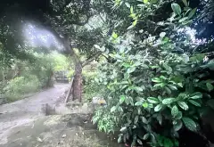 Nhà rộng mặt tiền, ô tô vào tận cửa, hiếm khu vực Nhân Vực... Bán nhà riêng tại Nghĩa Trụ, Hưng Yên 03