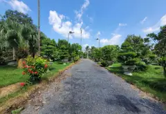 Đất Vườn Mặt Tiền Đường Tân Long Bình Chánh, Rộng 7800m2... Bán đất tại Tân Nhựt, Hồ Chí Minh 13