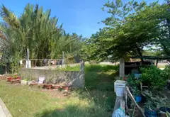 Nhà Bè – 8×37m – Đất ven sông 2 mặt tiền – Đường 6m thông Nguyễn Bình – 6.7 tỷ... Bán đất tại Hiệp Phước, Hồ Chí Minh 04