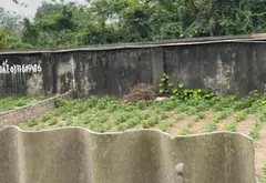 Bán đất mặt tiền 7m tại Mai Hiên, diện tích 117m2, pháp lý rõ ràng... Bán đất tại Đông Anh, Hà Nội 02