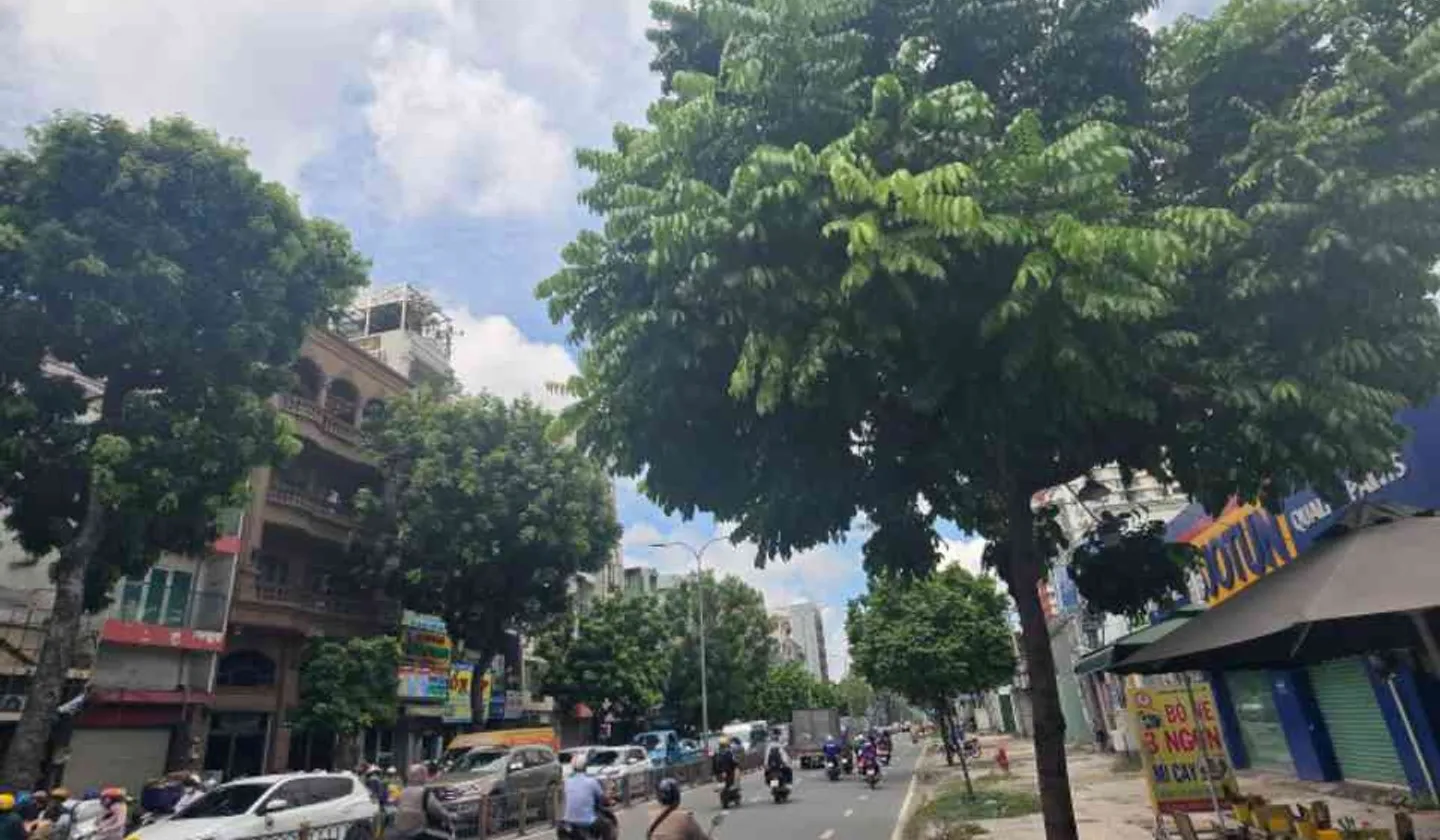 Nhà mặt phố hướng Đông Nam tại trung tâm quận, mặt tiền rộng 9.1m... Bán nhà mặt phố tại Phú Thọ, Hồ Chí Minh 01
