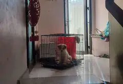 Nhà 5 Tầng Hiện Đại Trên Đường Lý Thái Tổ Quận 10... Bán nhà riêng tại Vườn Lài, Hồ Chí Minh 07