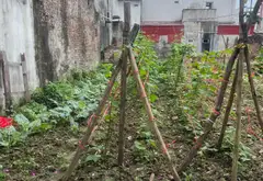 Cơ Hội Sở Hữu 118m2 Đất Ngõ Ô Tô Thông 2 Đầu Gần Cầu Kinh Chương Vương, Thuận Thành... Bán đất tại Thuận Thành, Bắc Ninh 03