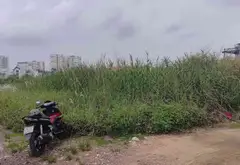 Cơ hội vàng sở hữu đất lô góc rộng 5m tại Gò Vấp với giá cực tốt... Bán đất tại An Hội Đông, Hồ Chí Minh 02