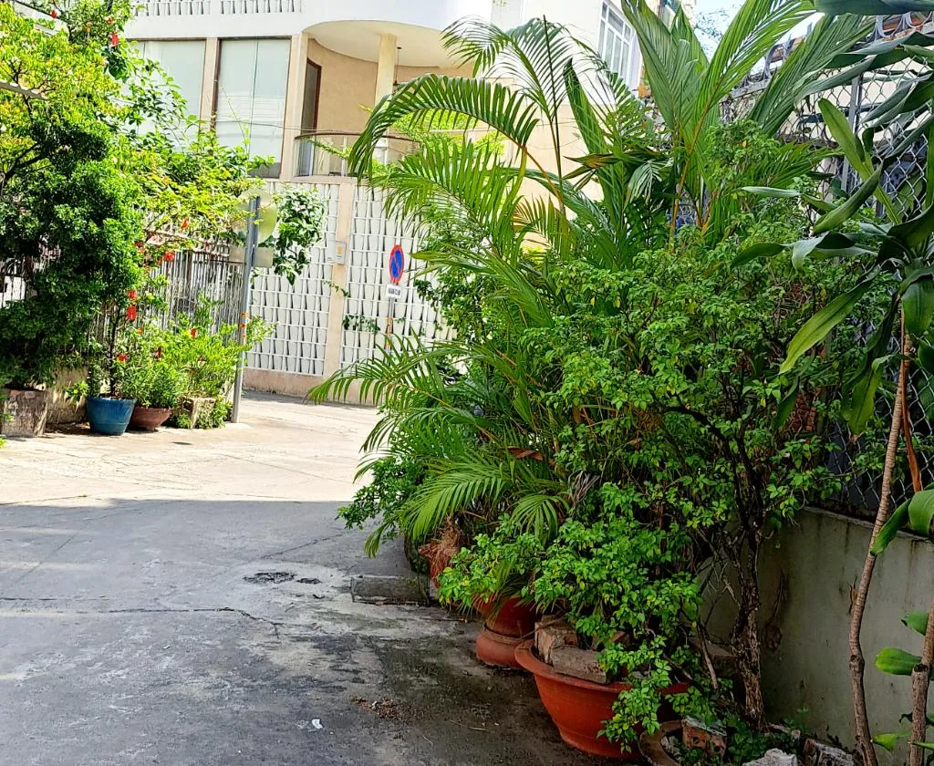 Nhà đẹp 3 tầng quận 5, giảm giá cực sốc, sẵn sàng dọn vào ở... Bán nhà riêng tại An Đông, Hồ Chí Minh 01