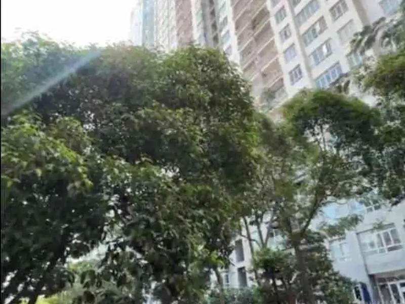 Bán shophouse 2PN mặt tiền kinh doanh quận 8 giá 8,5 tỷ... Bán căn hộ chung cư tại Chánh Hưng, Hồ Chí Minh 01