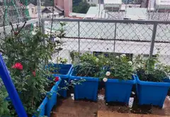 Bán nhà 5 tầng lô góc mặt tiền rộng tại phường 3, quận Gò Vấp... Bán nhà riêng tại Hạnh Thông, Hồ Chí Minh 02