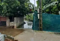 Thửa đất số 411, tờ bản đồ số 35, thôn CD Quán Trạch, Liên Nghĩa, Văn Giang, Hưng Yên... Bán đất tại Văn Giang, Hưng Yên 10