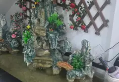 Nhà đẹp Lạc Long Quân, rộng rãi, giá tốt, vào ở ngay... Bán nhà riêng tại Tân Hòa, Hồ Chí Minh 12