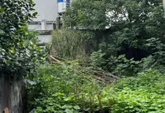Đất Vàng - Hồng Vân- Ngõ Thẳng Trục, Cách Đường Chính Chỉ 50m... Bán đất tại Chương Dương, Hà Nội 02