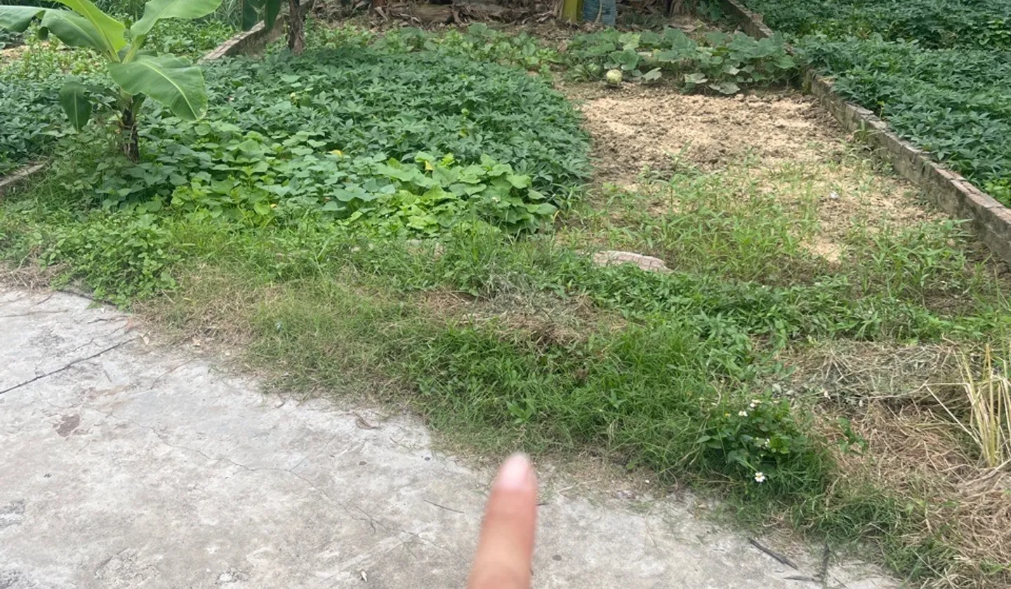 Bán đất thổ cư 60m² tại Yên Tàng, Bắc Phú - tiện ích đầy đủ, pháp lý rõ ràng... Bán đất tại Đa Phúc, Hà Nội 01