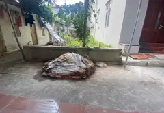 Bán đất 75,4m² tại Kim Chung - Vị trí trung tâm, tiện ích đầy đủ... Bán đất tại Thiên Lộc, Hà Nội 04
