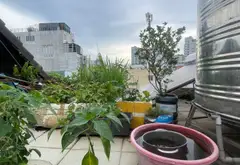 Nhà 5 tầng mặt tiền rộng ngay trung tâm Quận 10... Bán nhà riêng tại Hòa Hưng, Hồ Chí Minh 10
