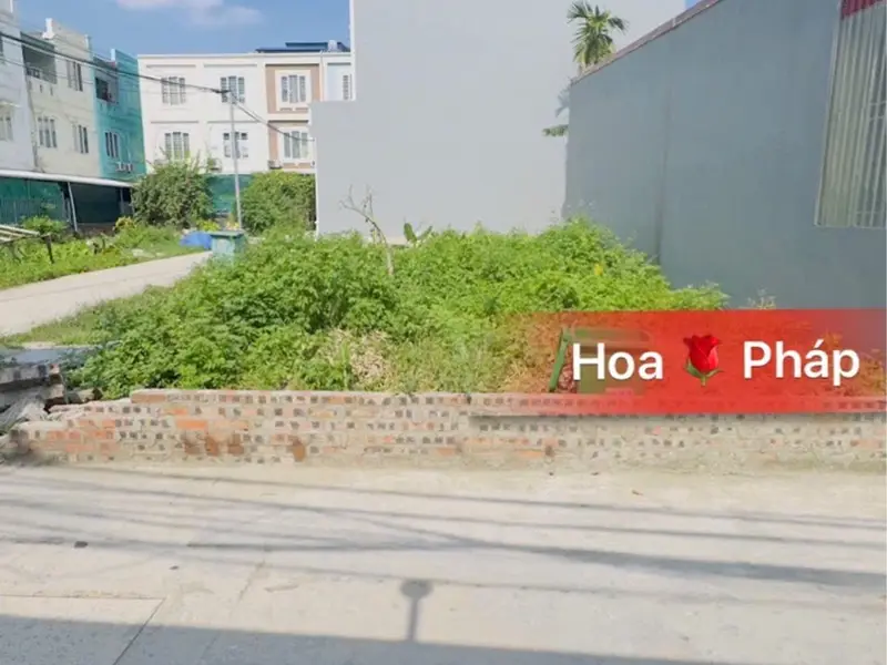 Bán đất phân lô ngõ ô tô tránh tại xã Đằng Hải, diện tích 61.4 m², sổ đỏ chính chủ... Bán đất tại Hải An, Hải Phòng 01