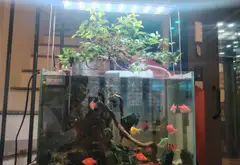Nhà 6 tầng thiết kế hiện đại, thang máy, vị trí đắc địa Thượng Thanh, giá sốc 9.9 tỷ!... Bán nhà riêng tại Việt Hưng, Hà Nội 03
