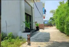 Bán đất nền diện tích 111m2, ngõ ô tô, xã Kiều Đông, huyện An Dương, Hải Phòng... Bán đất tại An Hải, Hải Phòng 02