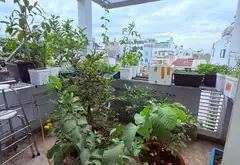 Bán nhà mặt phố 4 tầng diện tích 84m2 giá 12 tỷ, khu vực an ninh... Bán nhà mặt phố tại Phú Thạnh, Hồ Chí Minh 06