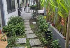 Bán nhà mặt tiền kinh doanh Hóc Môn, diện tích 193m2... Bán nhà mặt phố tại Hóc Môn, Hồ Chí Minh 07