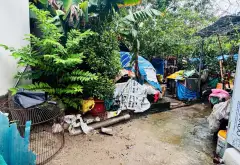 100m2 ĐẤT TẠI HẬU DƯỠNG THIÊN LỘC - VÙNG LÕI CỦA KCN THĂNG LONG -SỔ CẤT KÉT -... Bán đất tại Thiên Lộc, Hà Nội 04