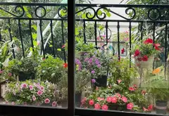 Nhà mặt phố kinh doanh đẳng cấp tại Khu Đô Thị Văn Phú, Hà Đông 110m2, 6 tầng, Thang Máy.... Bán nhà mặt phố tại Hà Đông, Hà Nội 08