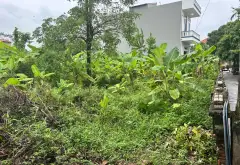 Đất phân lô thôn Vàng, vị trí vàng chờ bứt phá... Bán đất tại Gia Bình, Bắc Ninh 05