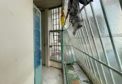 TÂN MỸ Q7 – NHÀ 2PN, NGANG 4M – CHỈ 4.3 TỶ... Bán nhà riêng tại Tân Thuận, Hồ Chí Minh 12