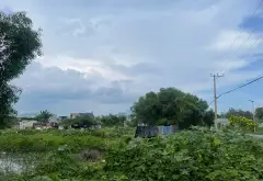 Đất mặt tiền Thanh Xuân Long Hải giá trị vàng - chỉ cách biển 80m, cơ hội không thể bỏ lỡ... Bán đất tại Long Hải, Hồ Chí Minh 06