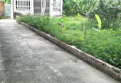 Lô góc đất hiếm mặt tiền rộng - giá hấp dẫn tại Đông Xuân... Bán đất tại Sóc Sơn, Hà Nội 05