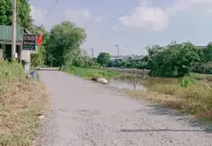 Cơ hội sở hữu đất thổ cư rộng lớn giá cực tốt tại Bình Mỹ... Bán đất tại Bình Mỹ, Hồ Chí Minh 08