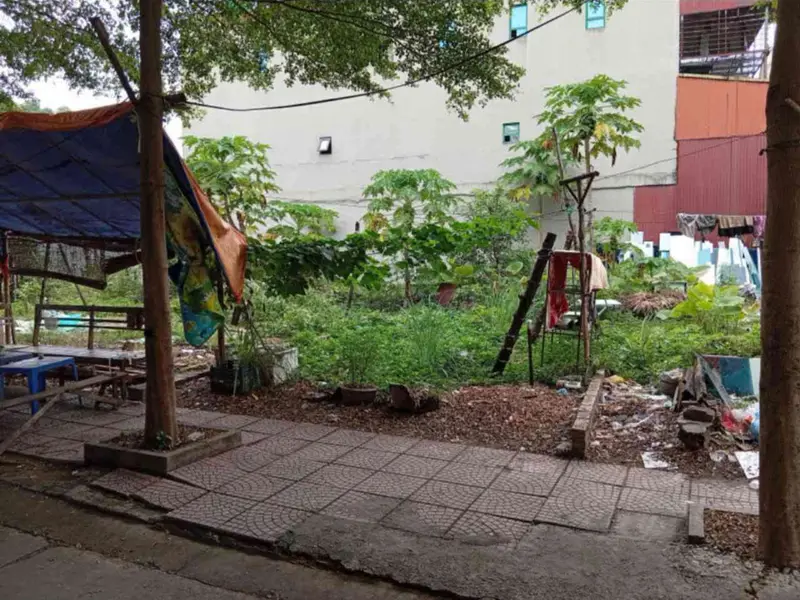 Cơ hội hiếm có sở hữu đất vàng 75m² Ngô Xá, Yên Phong với giá chỉ 2.45 tỷ... Bán đất tại Yên Phong, Bắc Ninh 01