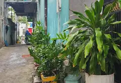 💰 NHỈNH 6 TỶ | TÂY THẠNH – TÂN PHÚ
📐 4×24m – 97m² | 15m ra đường ô tô | khu vực sầm uất
🏡 Hiện t... Bán owner_side tại Tây Thạnh, Hồ Chí Minh 05