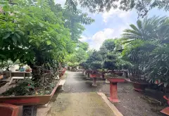 Bán nhà riêng có đất xây biệt thự rộng 442m2 tại phường An Nhơn, Gò Vấp... Bán nhà riêng tại An Nhơn, Hồ Chí Minh 04