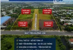 Bán gấp 1729m2 Ful TC -Vĩnh Lộc Bình chánh Chỉ 33.4 Tỷ... Bán đất tại Vĩnh Lộc, Hồ Chí Minh 05
