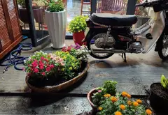 Nhà mặt phố 3 tầng, 48m² tại Quận 6, giá 11.5 tỷ giảm sâu... Bán nhà mặt phố tại Bình Phú, Hồ Chí Minh 05