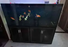 Bán chung cư mini 6 tầng thang máy tại quận Cầu Giấy, vị trí kinh doanh lý tưởng... Bán chung cư mini tại Cầu Giấy, Hà Nội 10